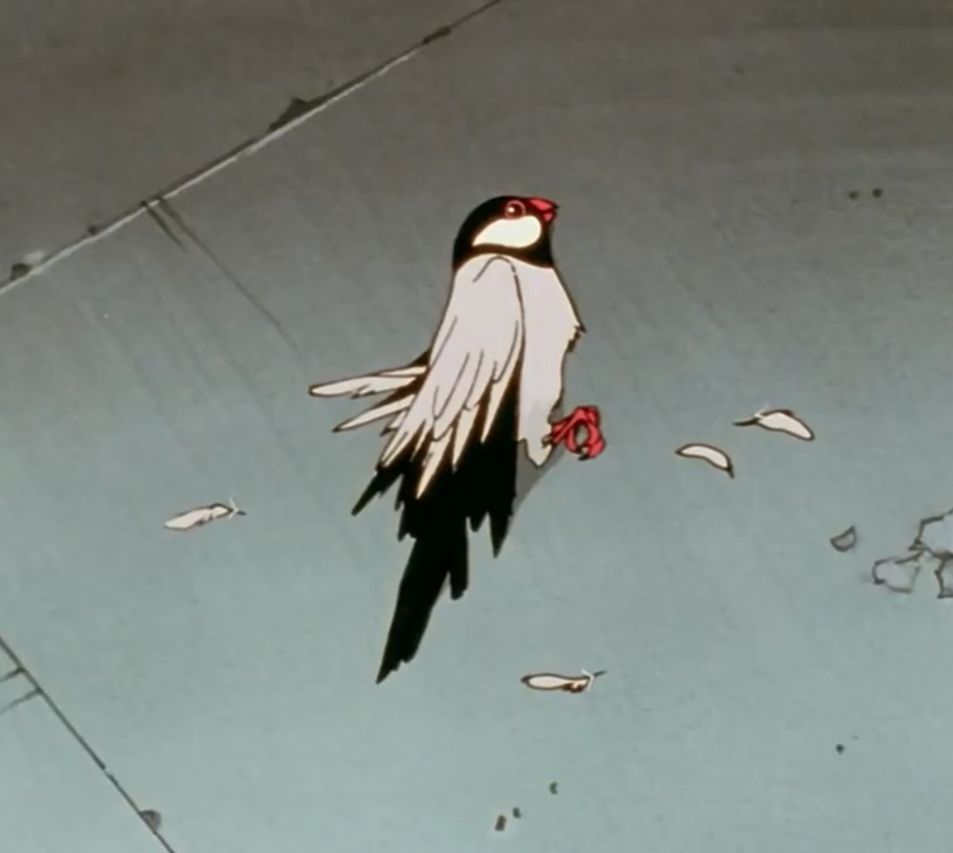 revolutionary girl utena, juri's bird